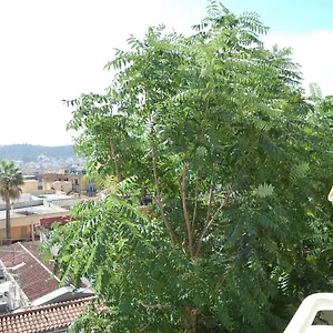 Appartement Signorile Iun S0575 Italië
